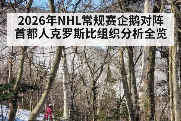 2026年NHL常规赛企鹅对阵首都人克罗斯比组织分析全览